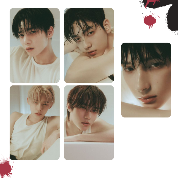 Photocards TXT